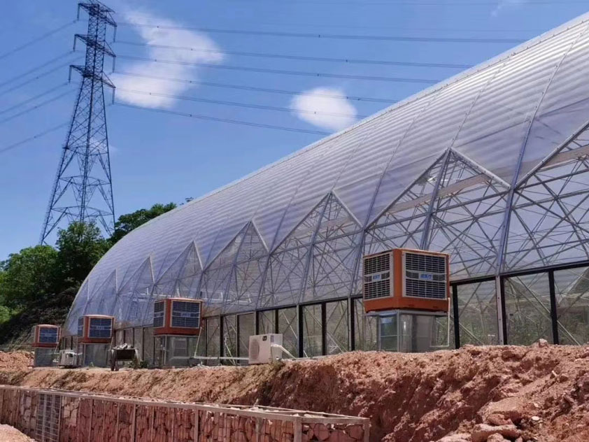 車間如何降溫？什么通風降溫設備節(jié)能省電