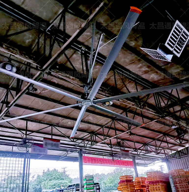 工業(yè)大風扇有幾種，看完這些你就知道了