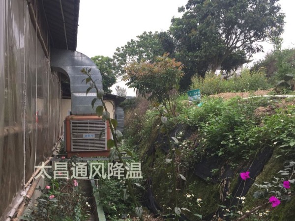 餐廳太熱？環(huán)?？照{(diào)為你送清風(fēng)