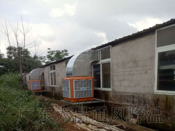 飼養(yǎng)廠|養(yǎng)豬場(chǎng)環(huán)?？照{(diào)通風(fēng)降溫案例